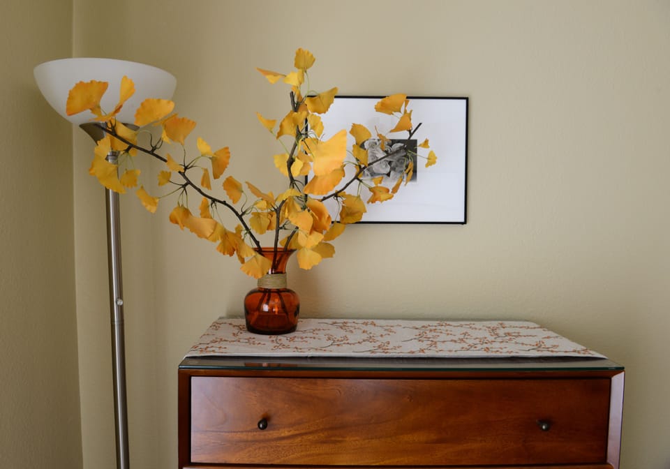 Soothing Colors and Visual Highpoints