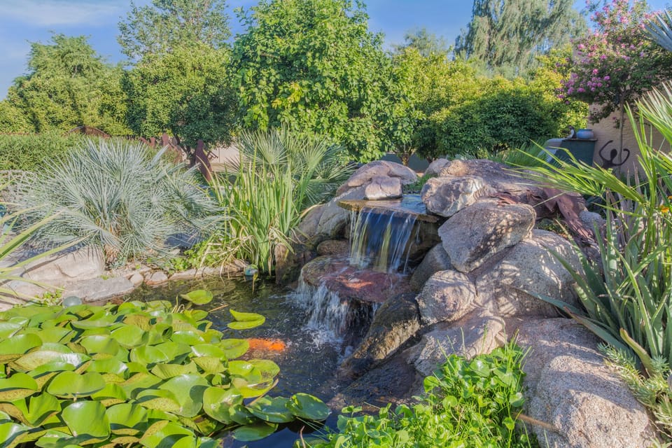 Koi Pond