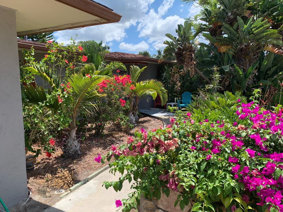 Walkway to front entrance 
