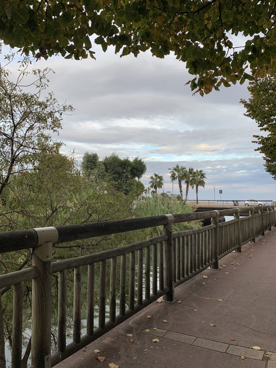 View from property