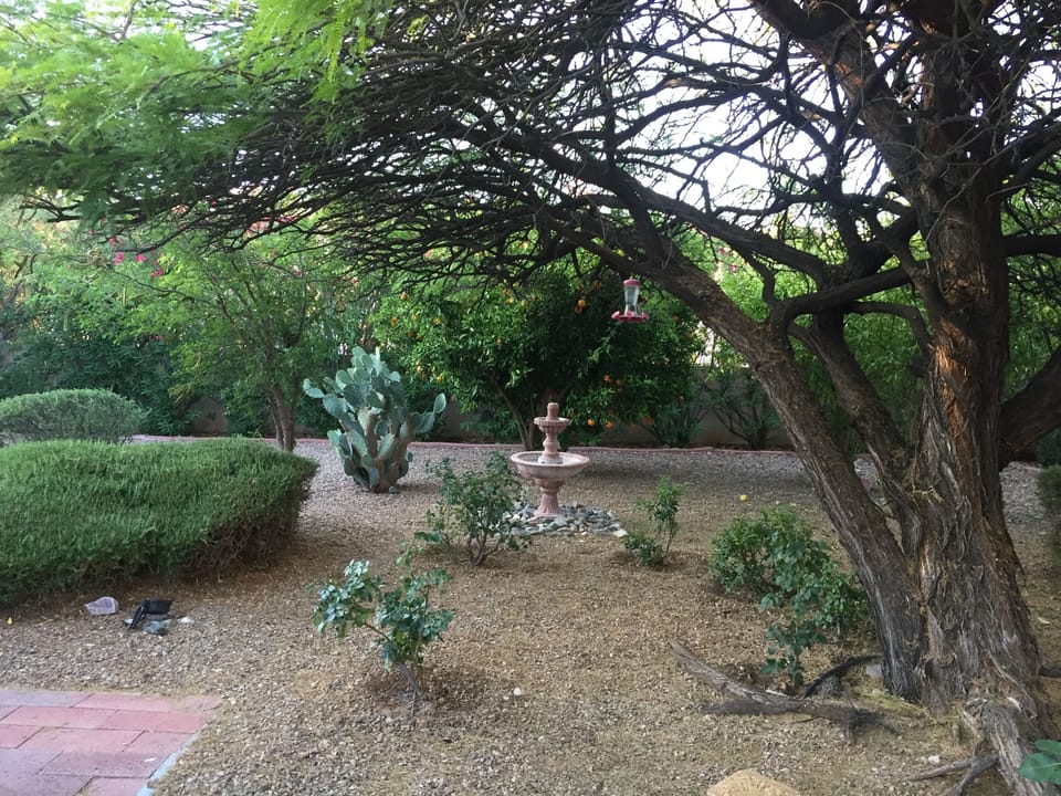 Property grounds