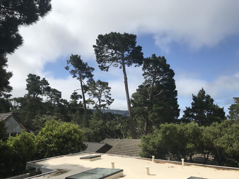 View from Balcony off Living Room 