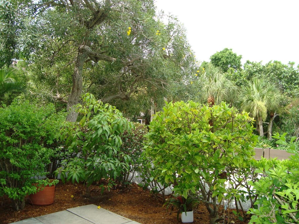 Privacy Garden