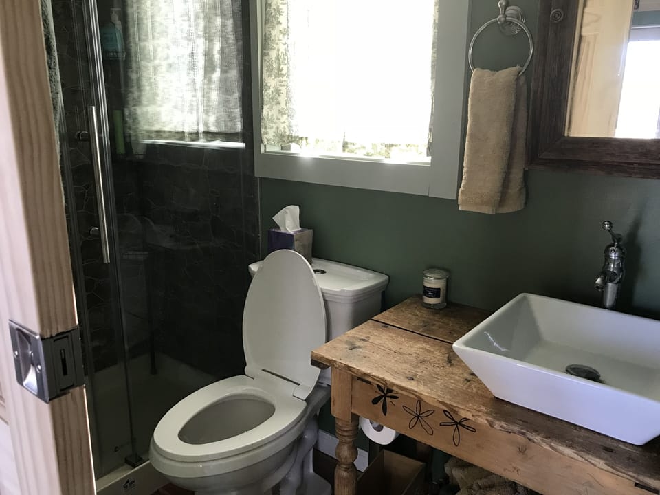 Bathroom with full shower and rain-shower shower head
