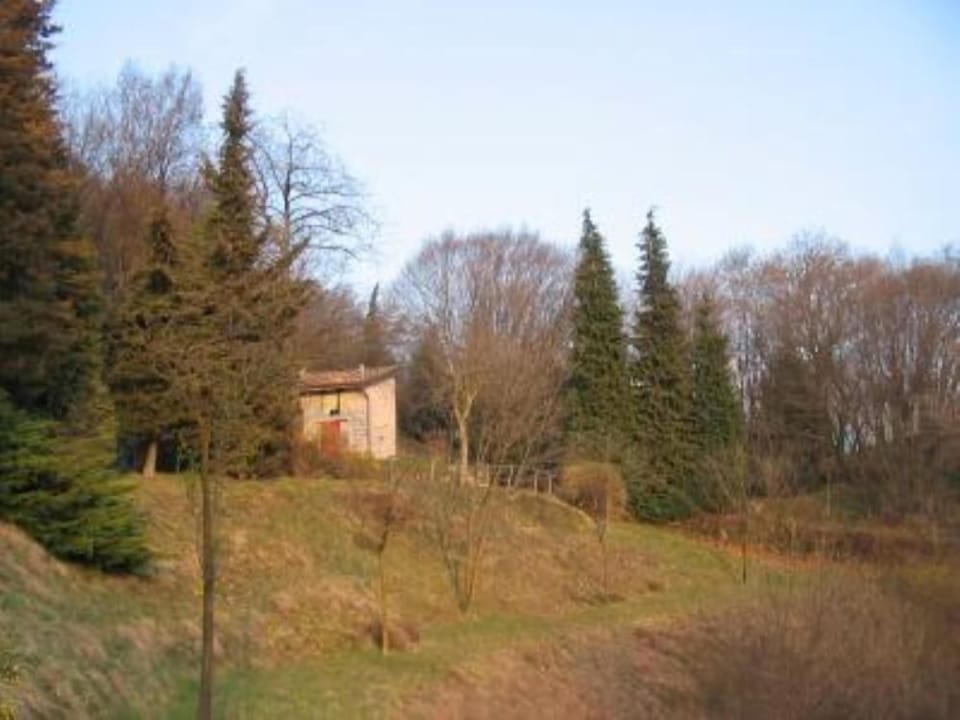 Garden, Park