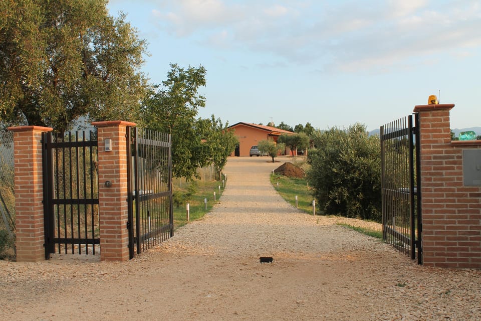 Gate and garden
