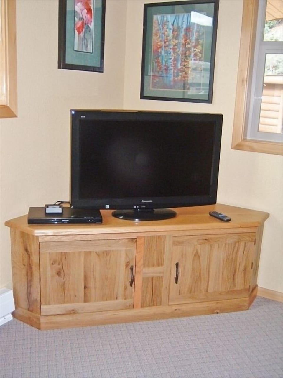 Flat Panel TV with DVD and VCR players, and iPod Dock.