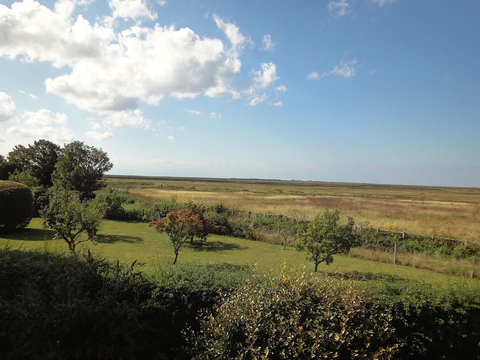 View from The Saltings