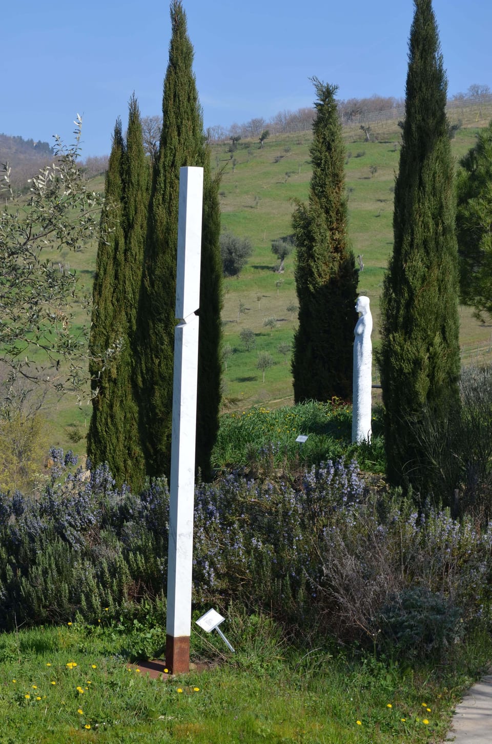Villa La Rogaia - garden