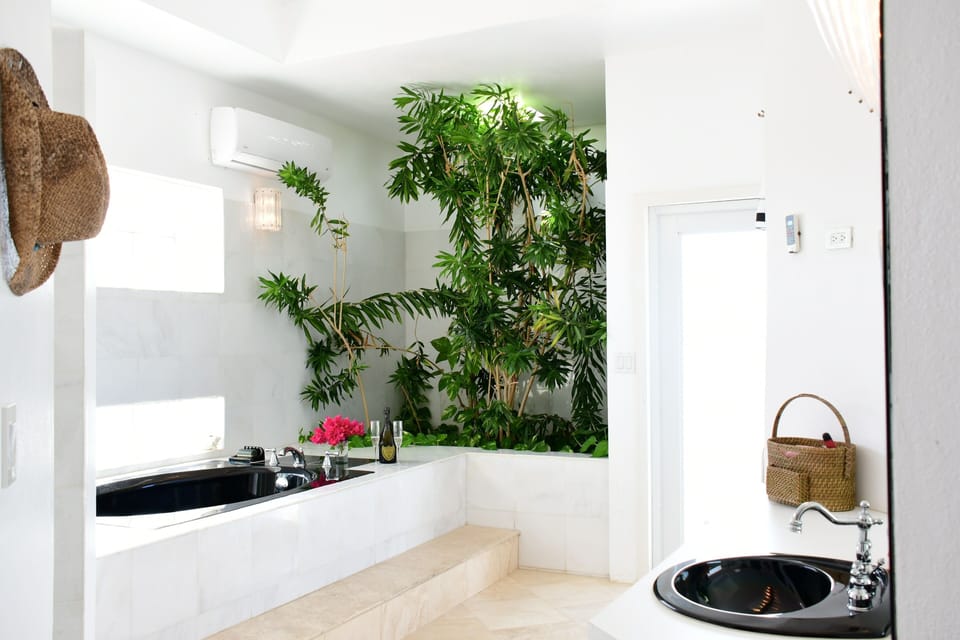 Master bath