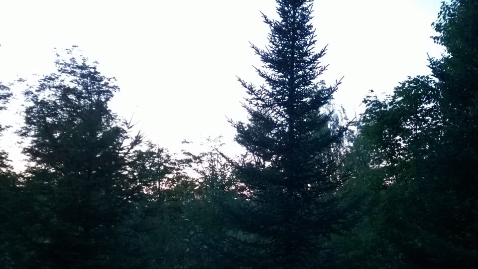 Great view of the mountain