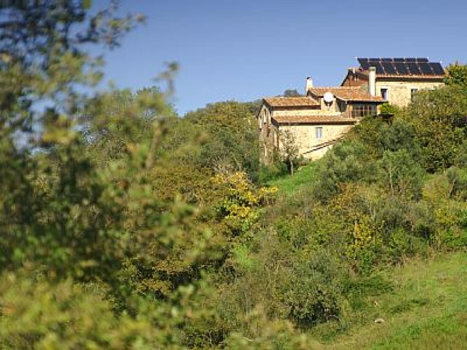 Villa La Rogaia - amidst olive groves