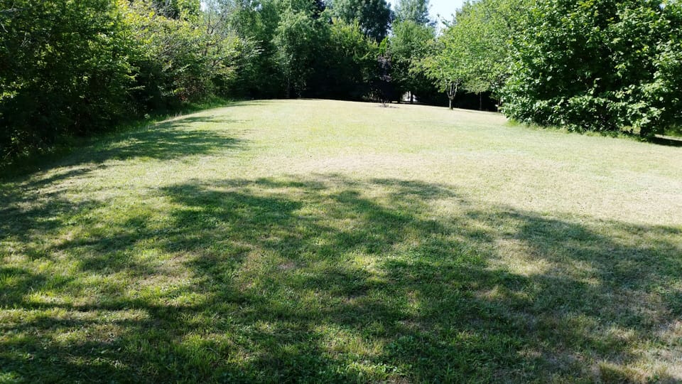 Huge grassed area at the rear of the property ideal for ball games.