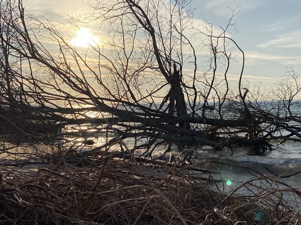 Torch Bay Nature Preserve is short drive to enjoy Pure Michigan