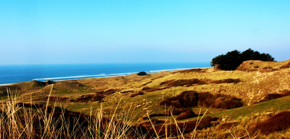 Local coastline