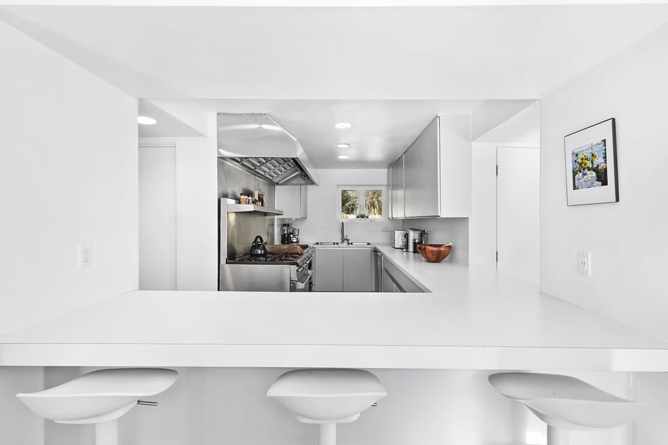 Professional chef's oven