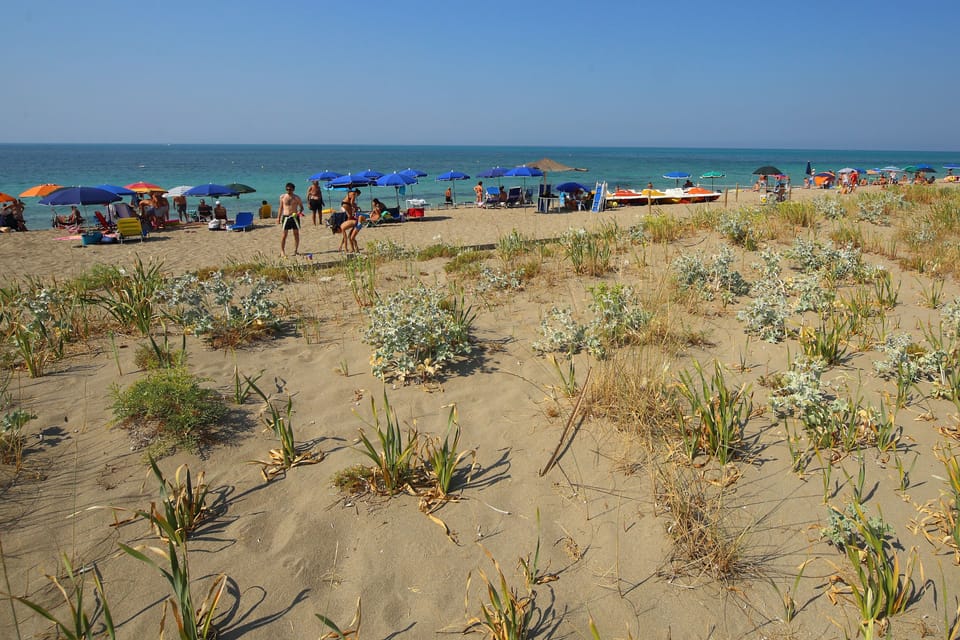 Beach