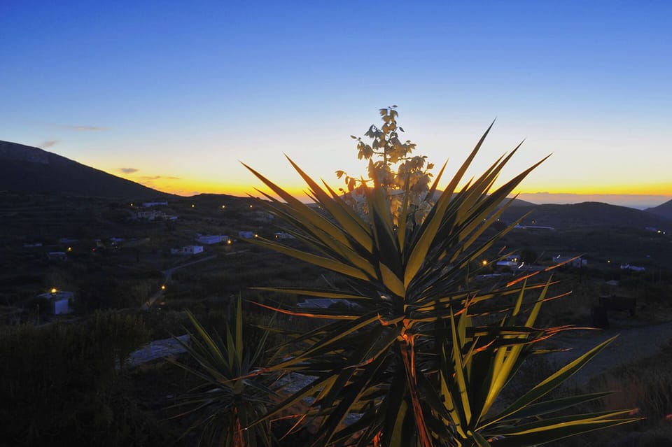 sunset view