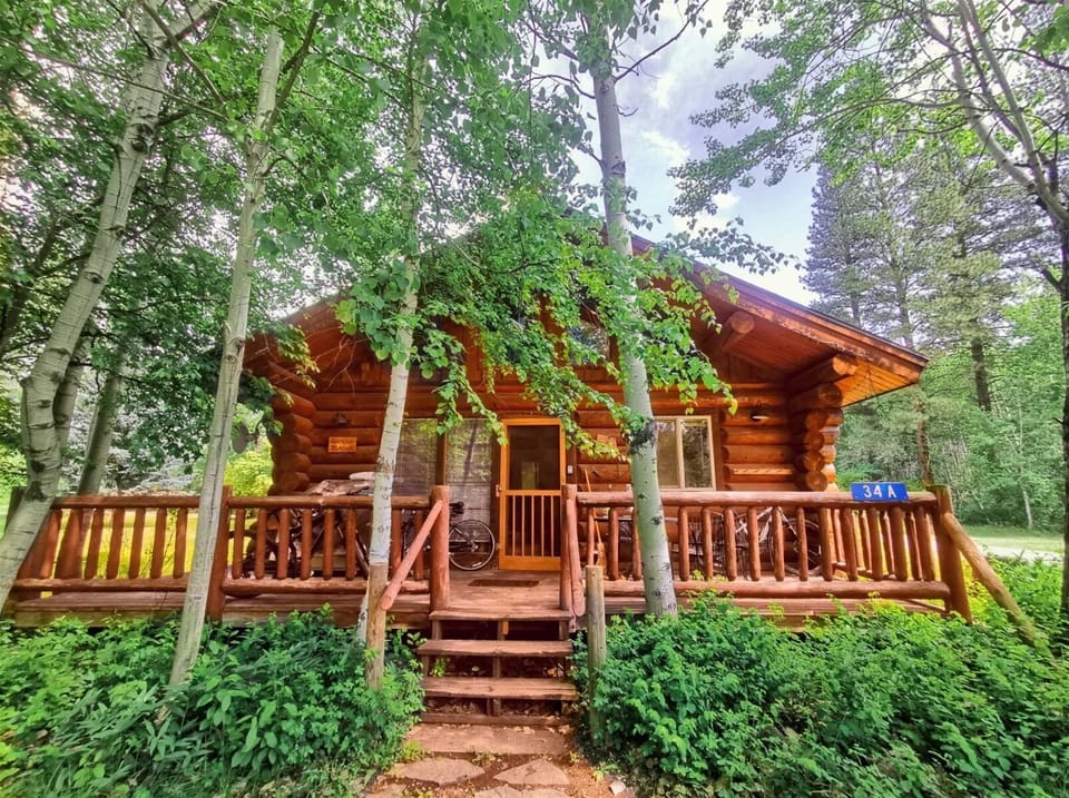 Cabin and porch in the summer. Bike from the front door