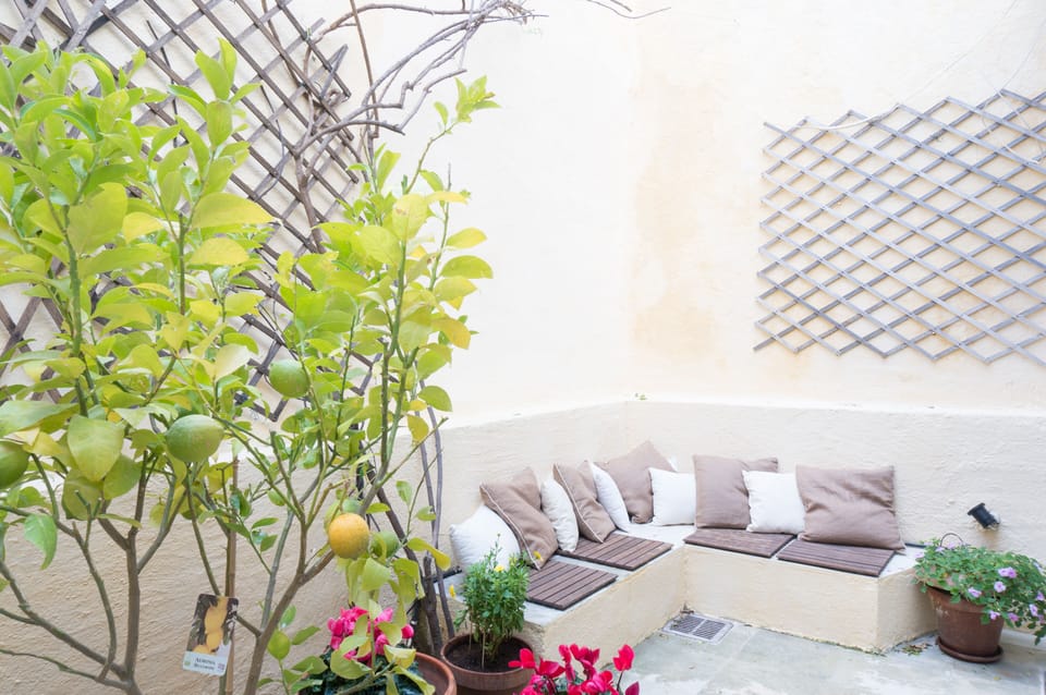 The cozy courtyard garden, complete with freshly planted lemon tree