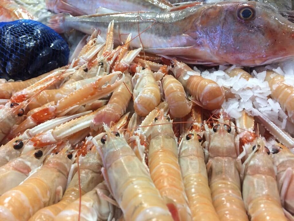 some of the local seafood