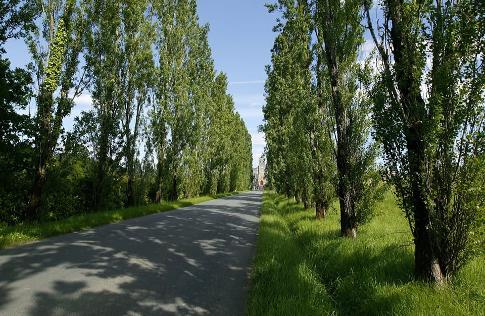 road leading to Saint Caprais de BOrdeaux
