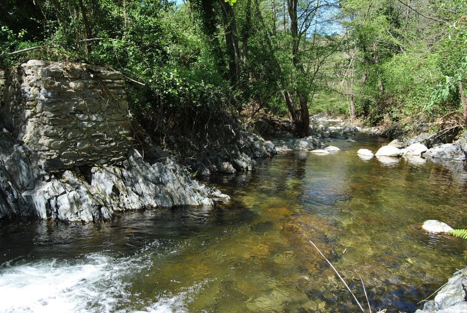 Pretty river beyond the garden