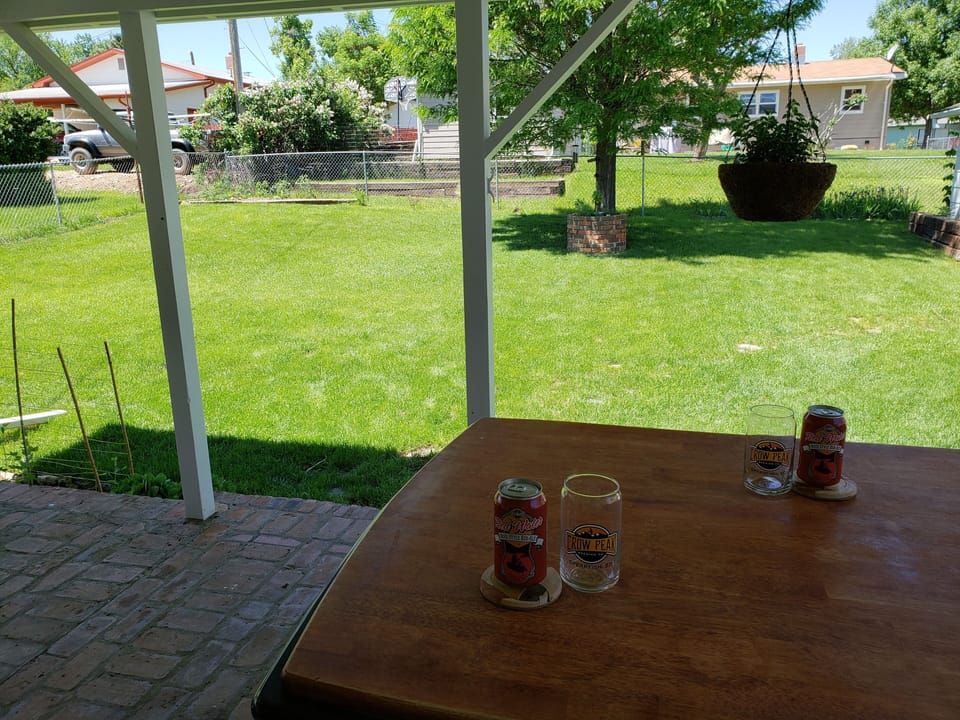 Fenced back yard