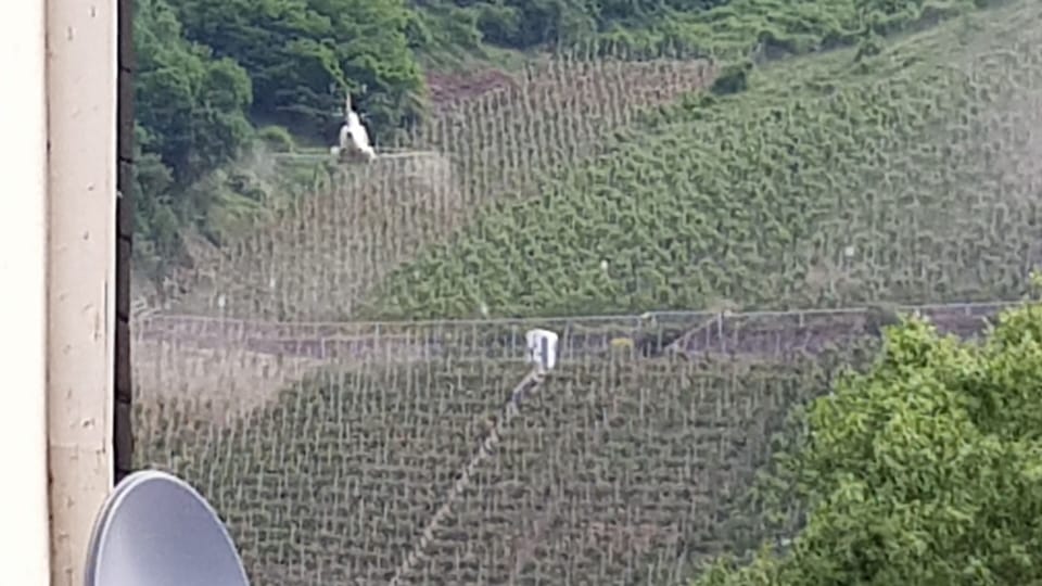 Hubschrauber bespritzt die Weinreben  bis zu 8 mal im sommer
