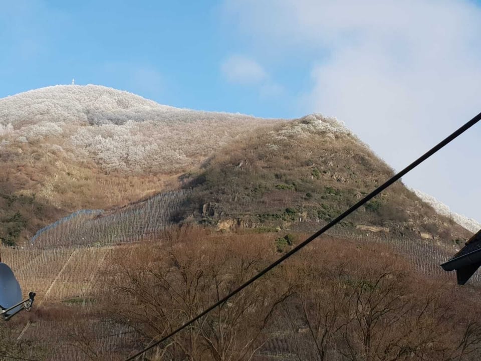 auch im Winter schön