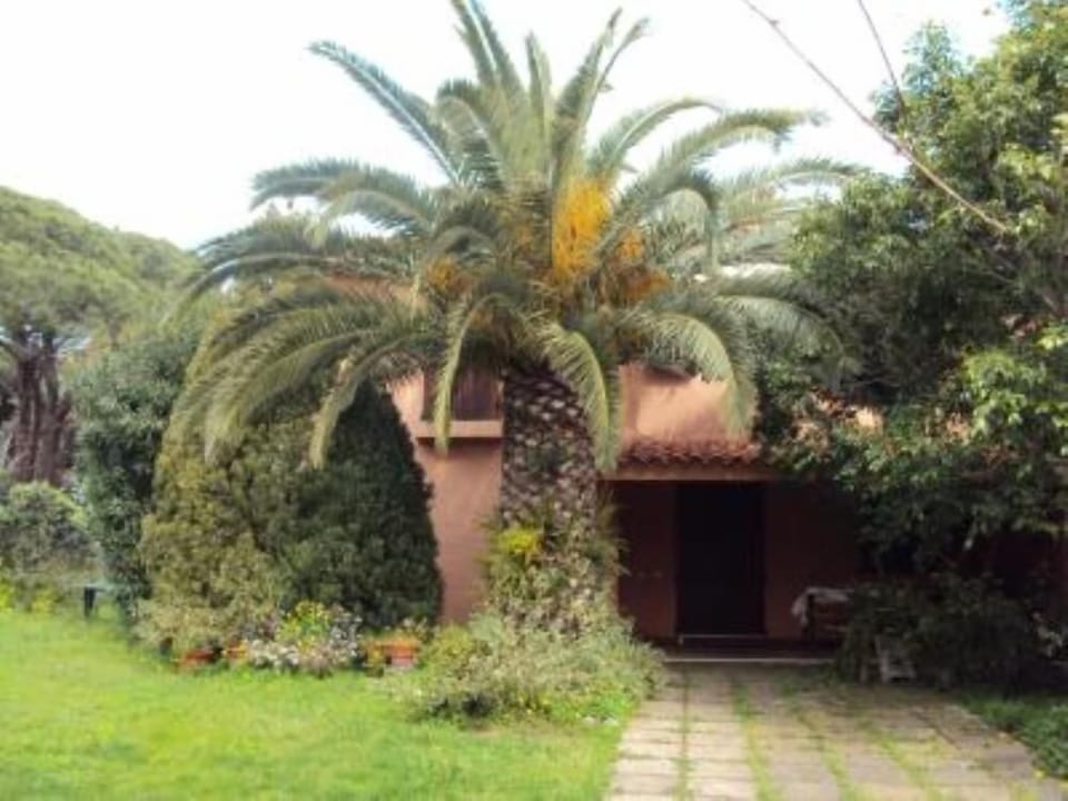 Garden, Park