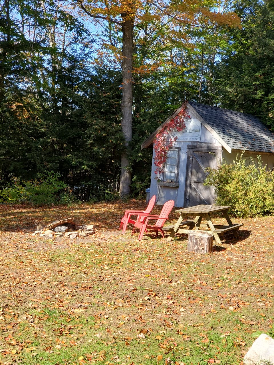 There's a spot in the yard for a campfire and maybe s'mores!