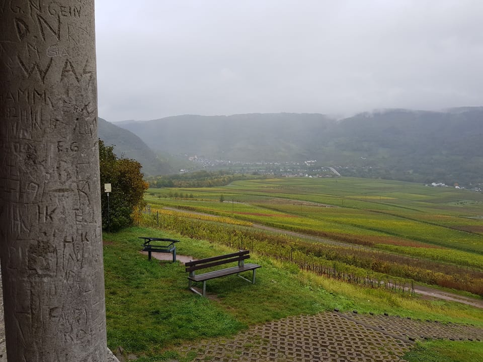 Blick von den Römergräbern auf die Weinberge und Moselverlauf