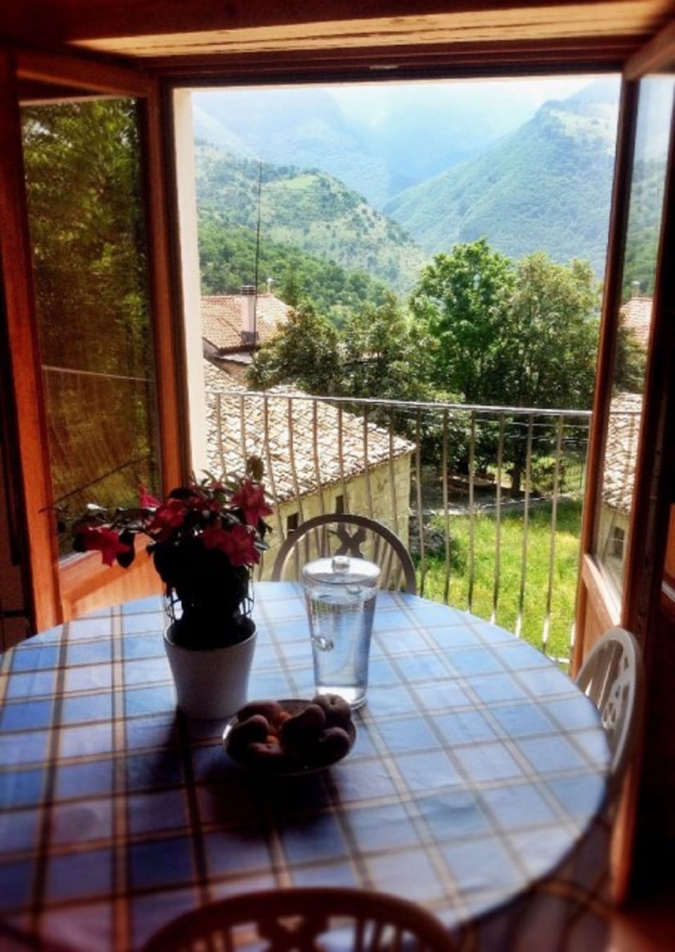 the view from the kitchen