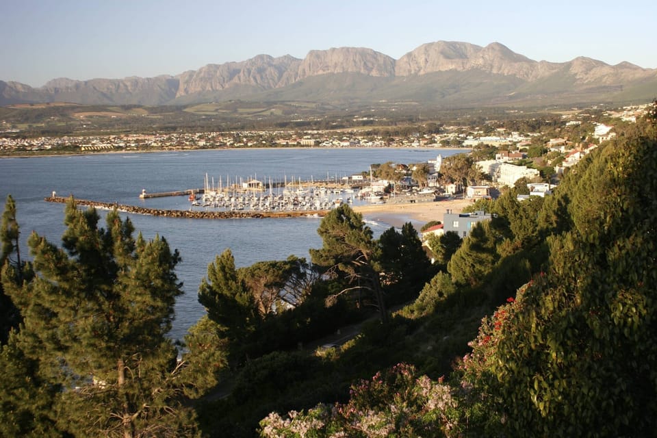 Harbour view