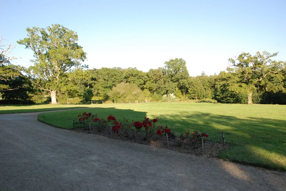 Garden and forest