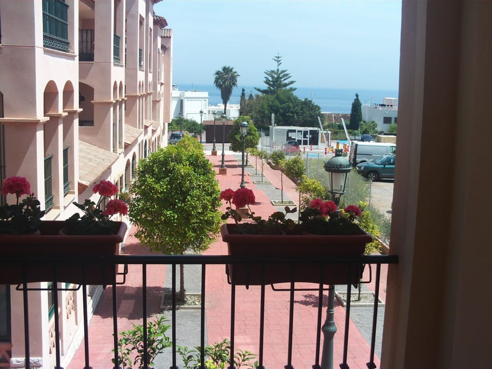 View from the terrace