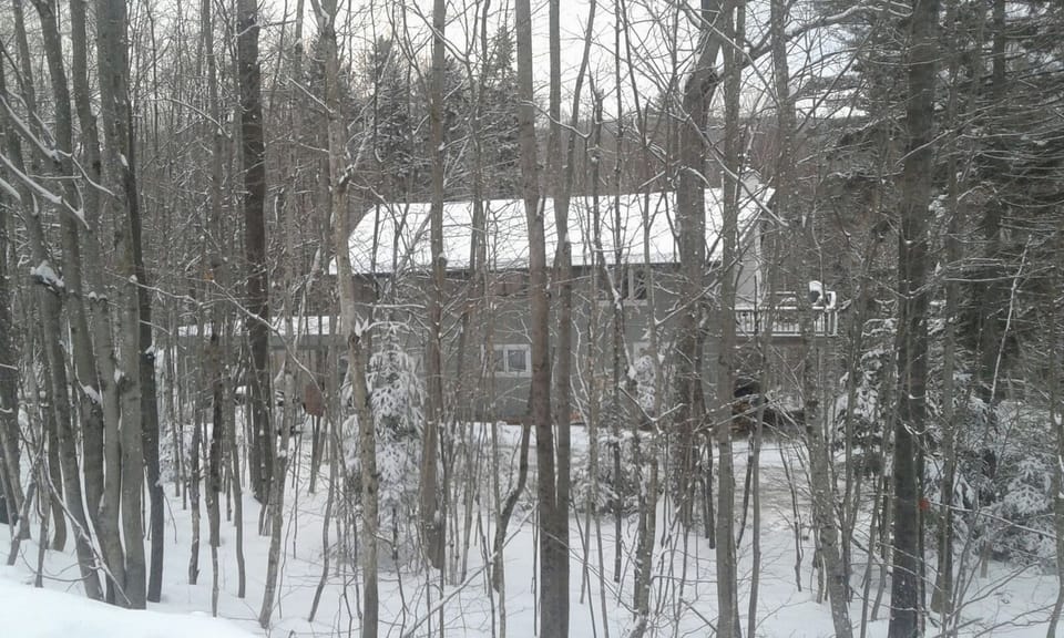 Another Powder snow Day. A Mount Snow Rental. Snow Vacation Rental 