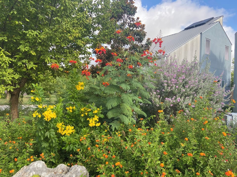 Garden in the front leads to guest gate.