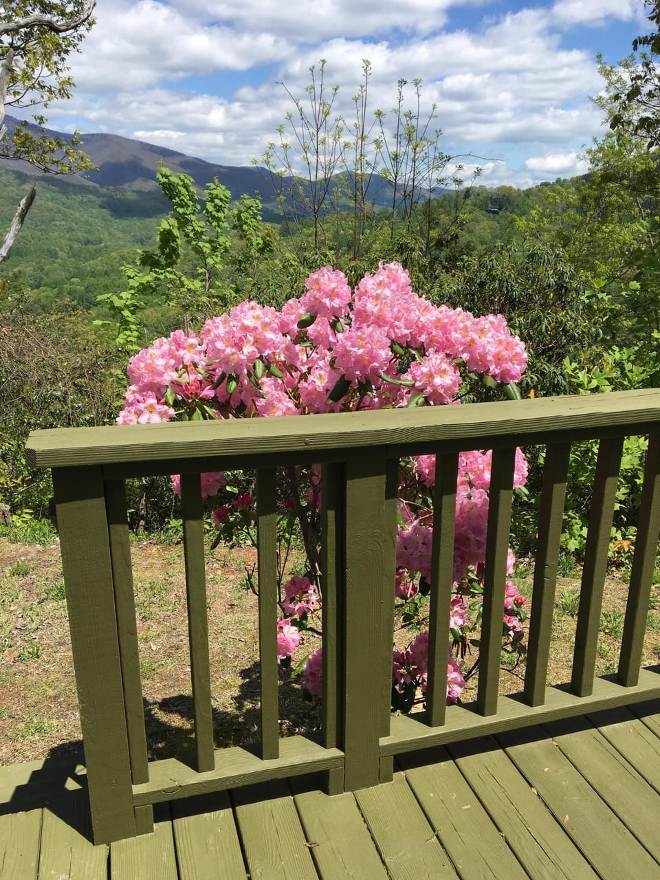 View from the front porch