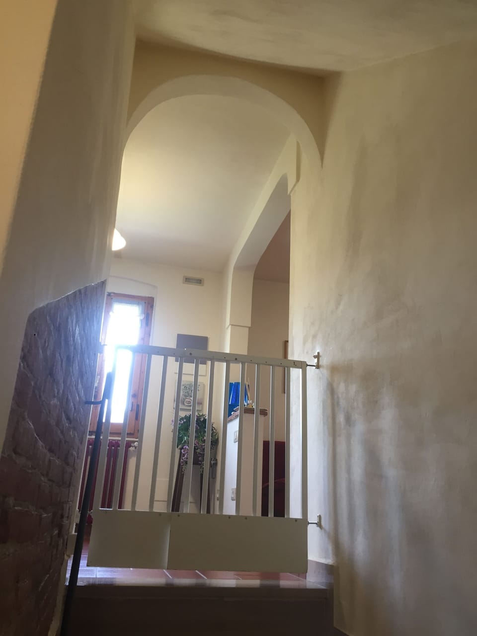 ingresso