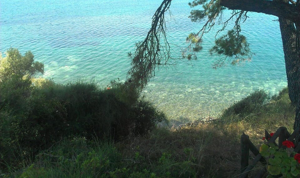 Beach/ocean view