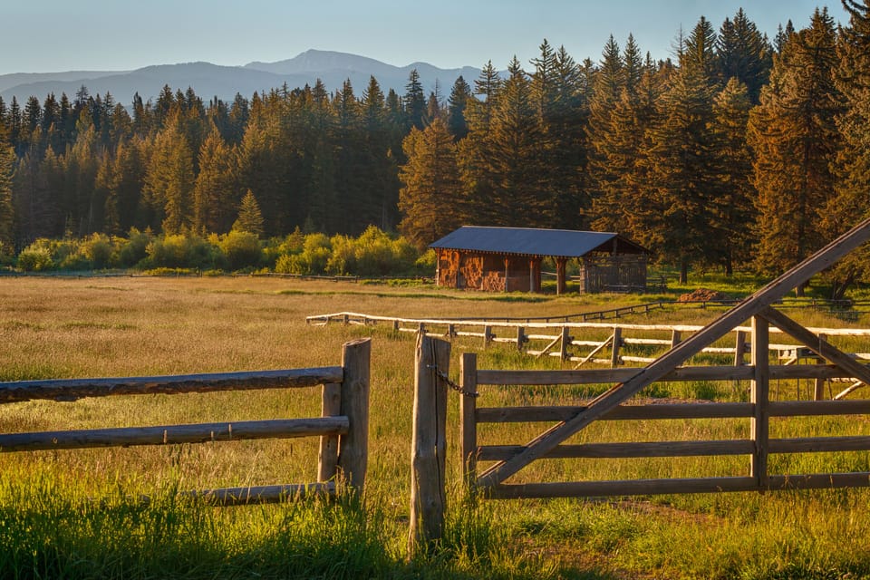 Our hay meadow