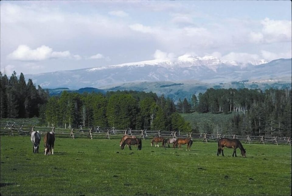 One view of the ranch - looking at the Sleeping Indian in the Gros Ventre range