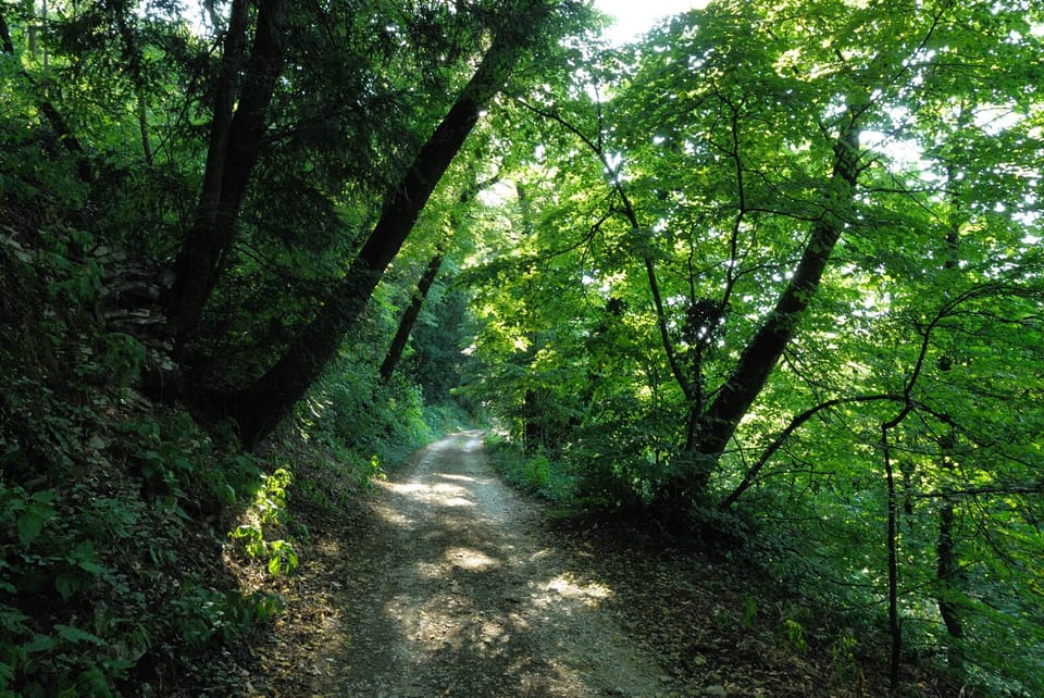 a view of the park