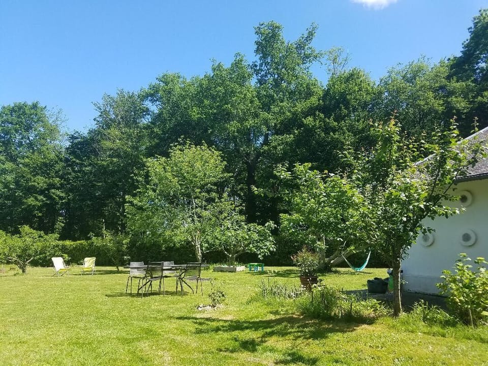The Gatehouse garden with fruit trees: figs, peaches and cherries galore.