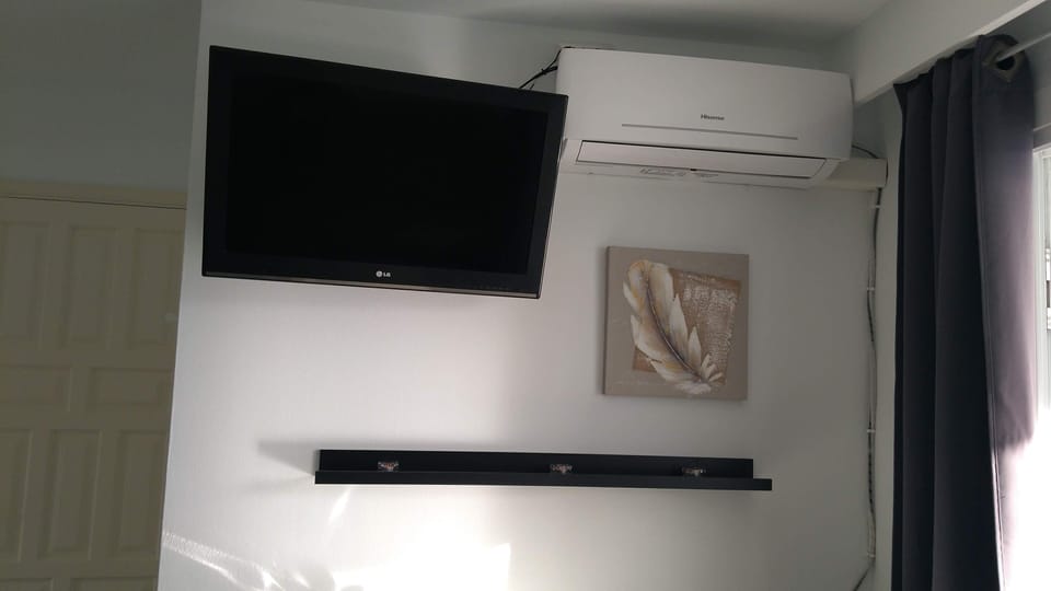 Television