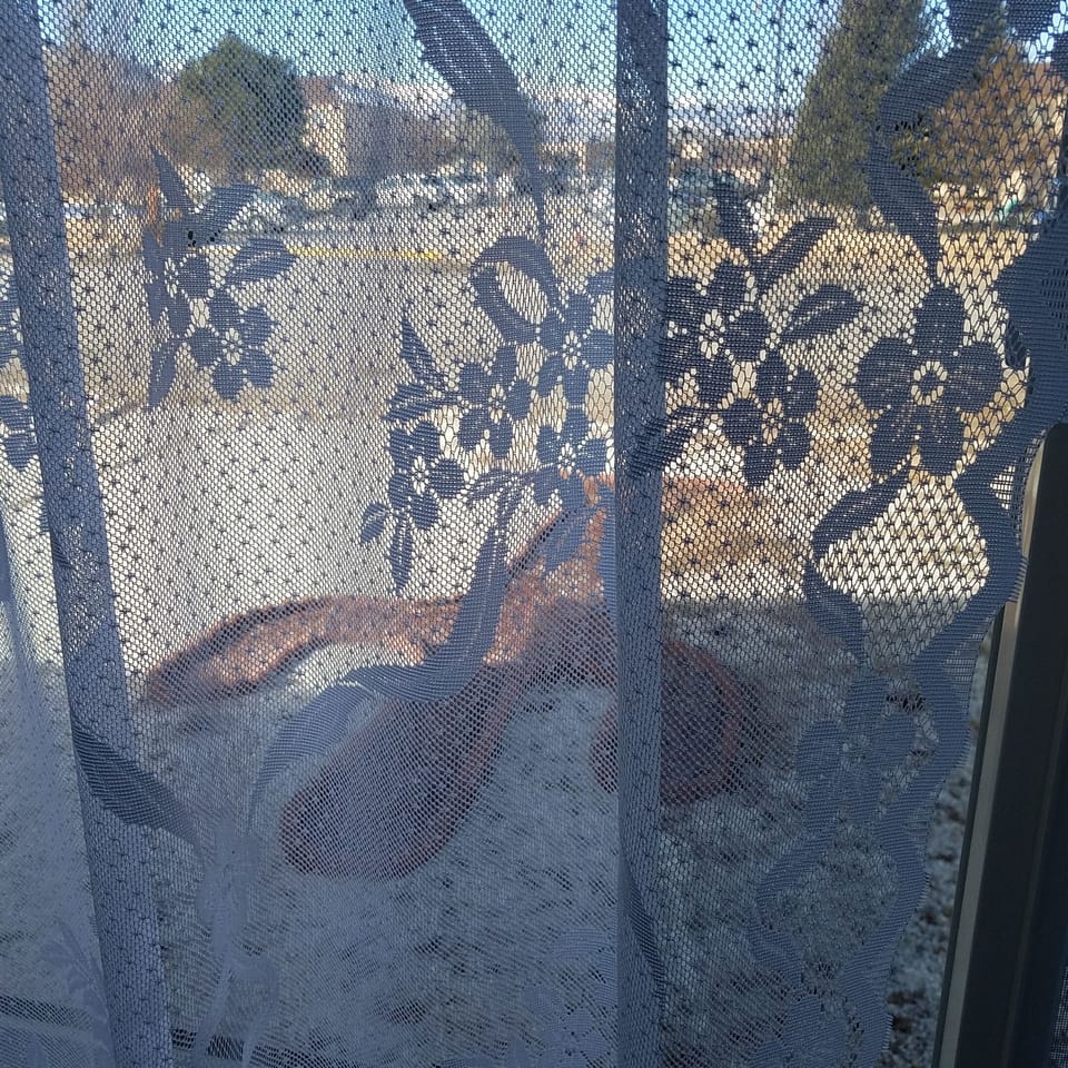 View from property