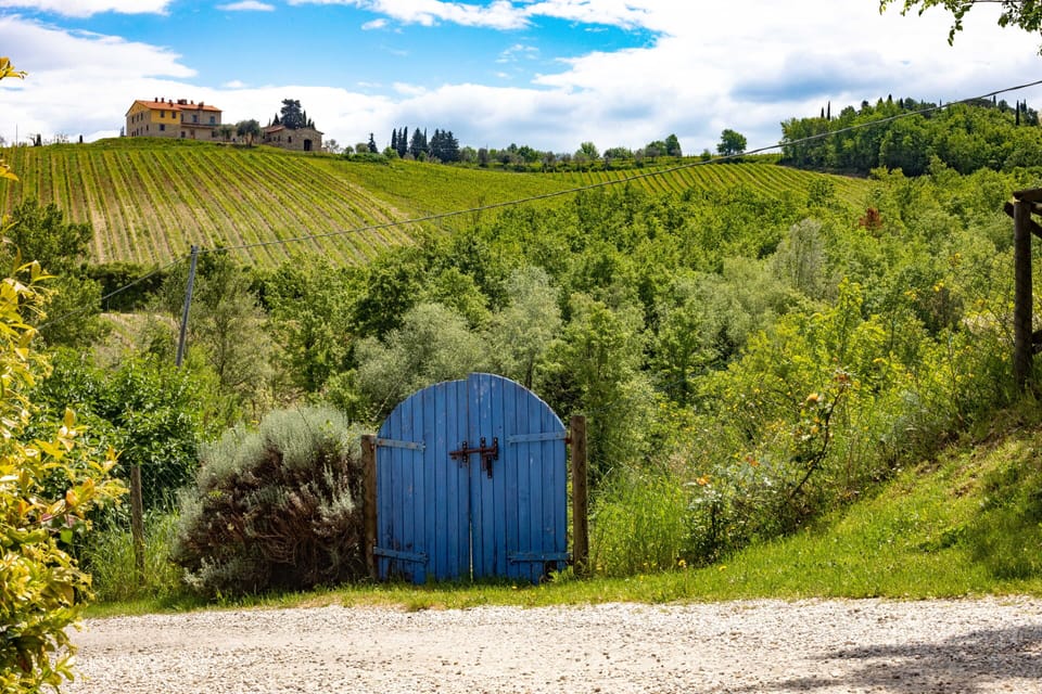 Country house with Jacuzzi on the Chianti vineyards, near Florence House in San Casciano Val Pesa