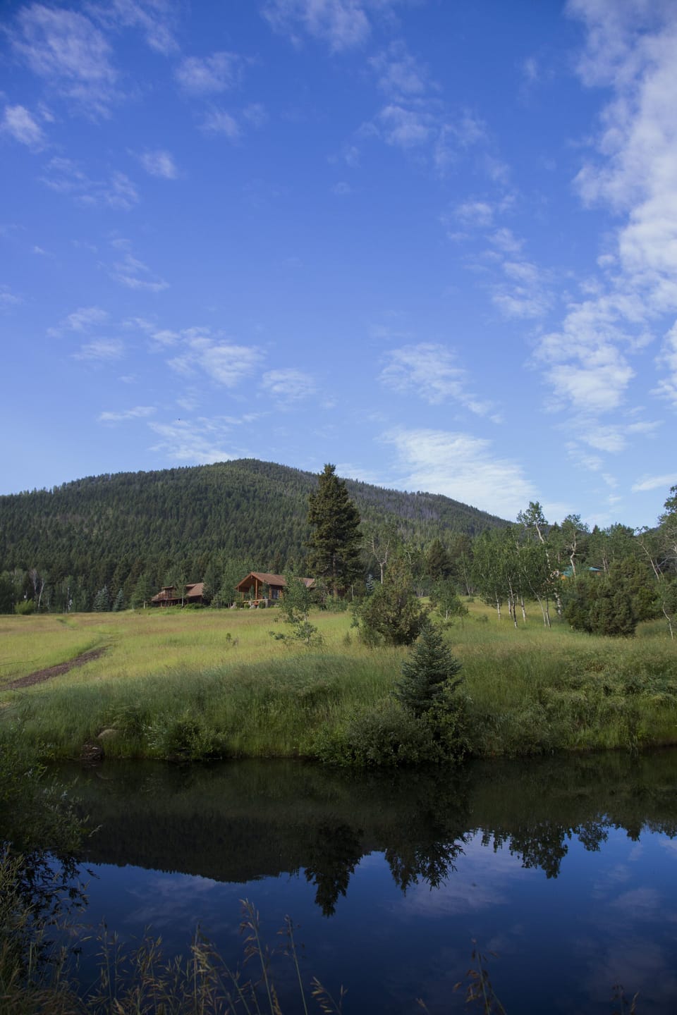 View up the meadow from fishing pond